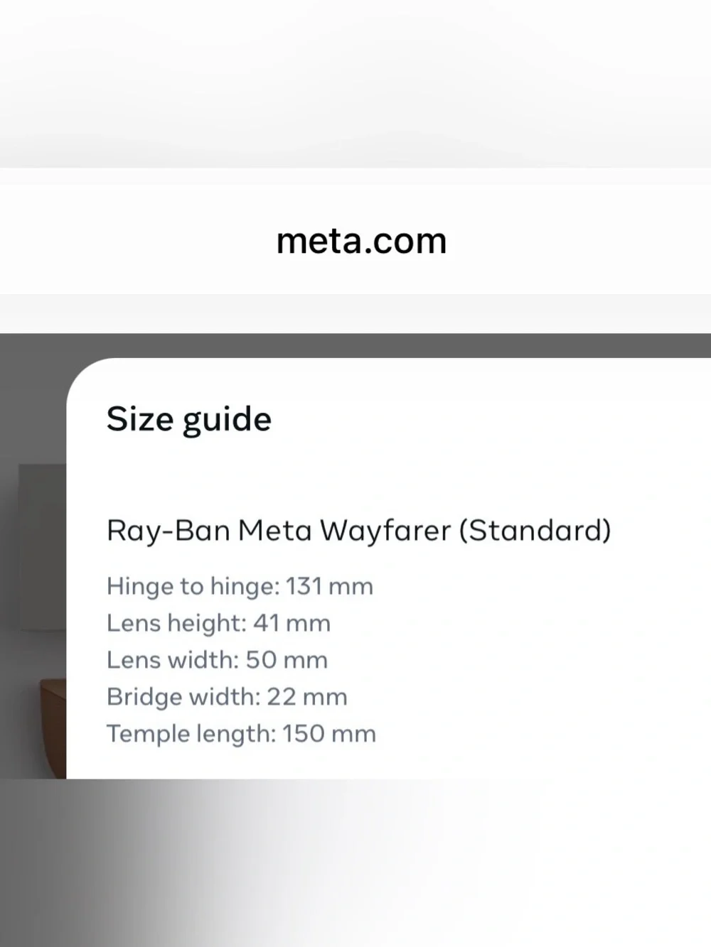 Ray-Ban Meta sunglasses 🕶️